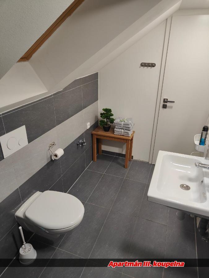 Apartmany Na Ceste Desná المظهر الخارجي الصورة